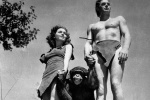 Những phim điện ảnh kinh điển về loài khỉ có thể bạn chưa từng biết