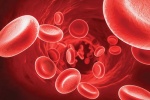 Bạch cầu trong máu giảm có nguy hiểm?