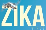 Virus Zika có liên quan tổn thương não thai nhi