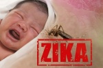 Cả nước đã tiếp nhận hơn 200 mẫu bệnh phẩm nghi ngờ nhiễm virus Zika