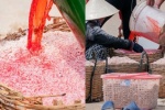 Không xác định được chất nhuộm đỏ ruốc tại Phú Yên