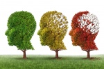 Bí quyết giúp phòng ngừa sa sút trí tuệ và bệnh Alzheimer