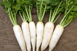 Củ cải – bí quyết dưỡng trắng da