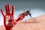 Mỹ khẳng định virus Zika gây ra chứng đầu nhỏ