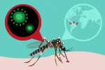 Chile lần đầu tiên phát hiện muỗi Zika