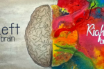 Bạn thiên về bán cầu não trái hay phải?