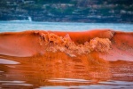 Thủy triều đỏ nguy hiểm như thế nào?