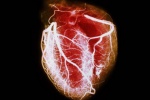 Calci, dầu cá và vitamin D ảnh hưởng thế nào đến tim?