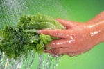 Loại nước “bí mật” để ngâm rau quả hết thuốc trừ sâu