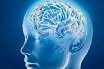 4 thực phẩm giúp tăng dopamine trong não cho bệnh nhân Parkinson
