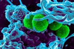 Đã đến lúc “chấp nhận” kháng sinh có nhiều tác dụng phụ?