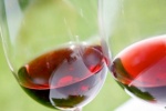 Uống rượu vang khi đang dùng thuốc kháng sinh có nguy hiểm không?
