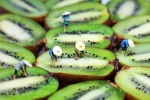 Sai lầm khi bỏ qua 5 loại trái cây tăng hiệu quả chữa trị bệnh ung thư