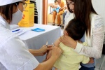 Hà Nội cảnh báo gia tăng bệnh viêm não Nhật Bản