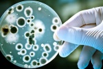 Đột phá lĩnh vực y dược với ứng dụng công nghệ nano 