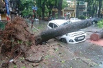 Hình ảnh kinh hoàng về sức tàn phá của bão số 1 tại Hà Nội