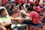 Hà Nội: Chỉ 1 ngày Tổng kết, tiếp nhận hơn 3.000 đơn vị máu 