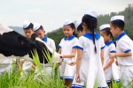 Câu chuyện cảm động về hành trình 40 năm Giấc Mơ Sữa Việt