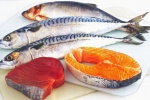 Ăn quá nhiều cá có dầu có hại cho sức khỏe