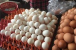 Dân buôn tiết lộ mẹo phân biệt trứng gà Ai Cập - trứng gà ta