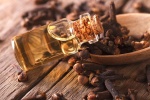 Tinh dầu đinh hương tốt cho sức khỏe như thế nào?