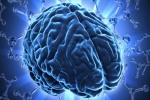 “Bộ não mini”- Phương pháp nghiên cứu mới căn bệnh Parkinson