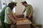 Tiêu hủy gần 5.000 trứng gà công nghiệp xuất xứ Trung Quốc