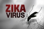 Những dị tật thai nhi có liên quan đến virus Zika cần biết 