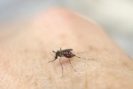 Nhật Bản: Phát hiện bệnh nhân nhiễm Zika đến từ Việt Nam