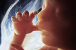 Sự phát triển kỳ diệu của 1 em bé từ khi hình thành đến lúc chào đời