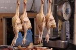 Thịt gà đầy siêu vi khuẩn MRSA - làm sao để tránh?
