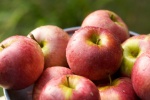 Ăn táo mỗi ngày giảm nguy cơ mắc 5 loại bệnh ung thư