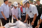 Viện Hóa học: 160 tấn bùn Formosa nhập về không phải bùn thải
