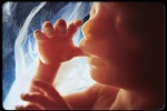 Hãy xem 5 giác quan của thai nhi phát triển kỳ diệu thế nào!