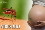 Virus Zika nguy hiểm với thai nhi ở tuần thai bao nhiêu?