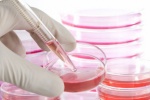 Liệu pháp tế bào gốc: Hy vọng cho điều trị các bệnh mạn tính