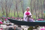 Suối Yến chùa Hương rực rỡ sắc hoa súng