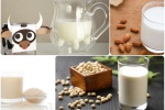 Sữa bò, sữa đậu nành, sữa gạo, sữa hạnh nhân: Loại nào tốt nhất?
