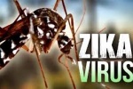 NÓNG: Việt Nam xác nhận ca mắc hội chứng đầu nhỏ do virus Zika đầu tiên