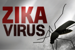 Virus Zika làm giảm khả năng sinh sản của nam giới?