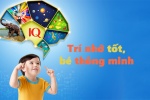 1.000 ngày đầu đời trẻ cần dưỡng chất gì để phát triển trí não?