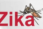 ​TP.HCM đã có 35 người mắc Zika