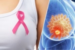Những dấu hiệu bệnh ung thư vú ít khi được chú ý