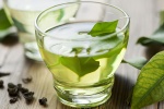 Uống trà xanh trước khi dùng TPCN để ngăn nhiễm độc gan?