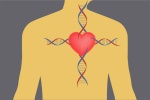Bệnh tim di truyền vẫn có thể phòng tránh được?