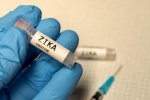 Có thêm công cụ mới phát triển vaccine phòng ngừa virus Zika