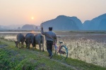 Du khách nước ngoài chia sẻ những điểm đến đẹp tại Việt Nam