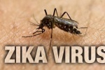 Đến lượt Tây Ninh bị Zika 