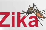 Thêm 1 ca nhiễm virus Zika tại Đồng Nai