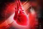 Những nguyên nhân gây nhịp tim nhanh khi bạn không bị bệnh tim